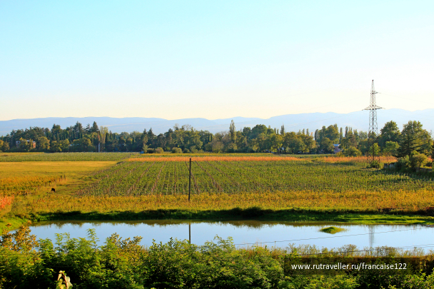 photo 1413320