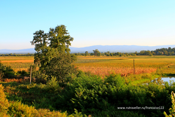 photo 1413321
