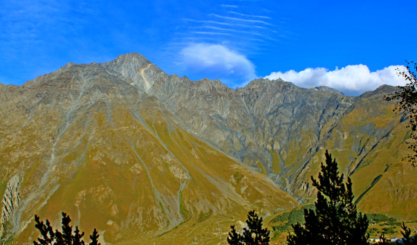 IMG_8028