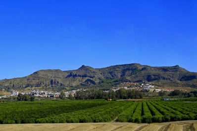 photo 1579175