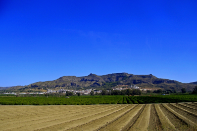 photo 1579176