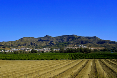 photo 1579177