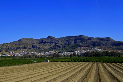 photo 1579178