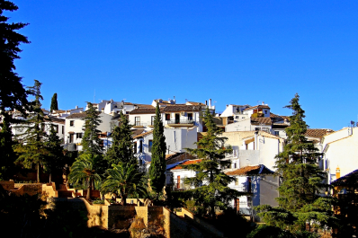 photo 1581770