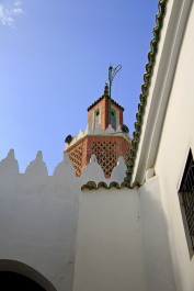 photo 1591824