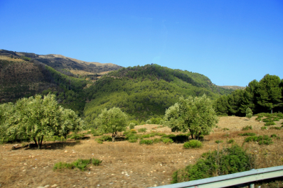 photo 1594512