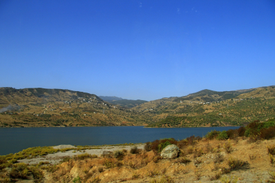 photo 1594798