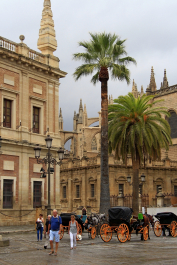 photo 1613842