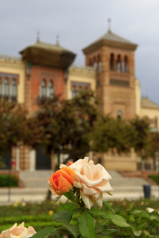 photo 1616837