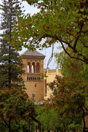 photo 1618364