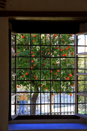 photo 1640179