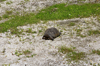 photo 1640506