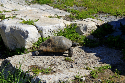 photo 1641068