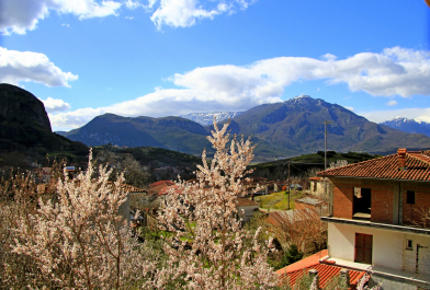 photo 1647863