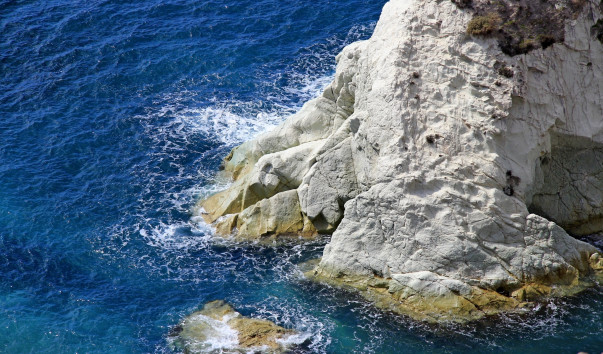 _MG_1807