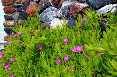 photo 1677682