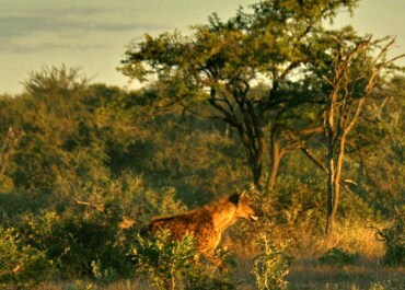 photo 476405