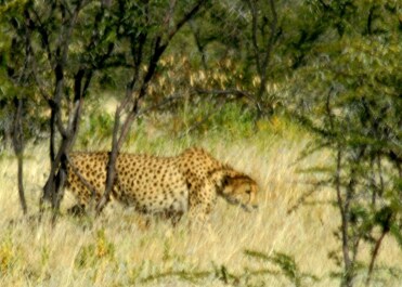 photo 476407