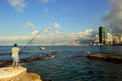 photo 916814