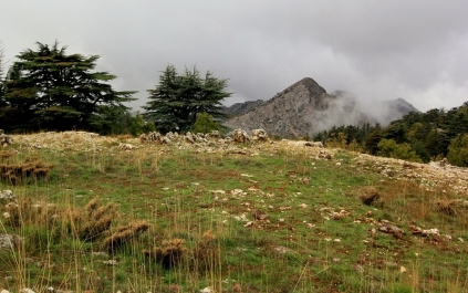 photo 916830