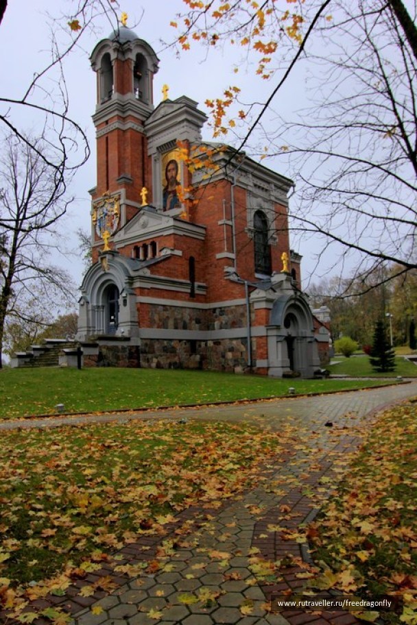 photo 1409849