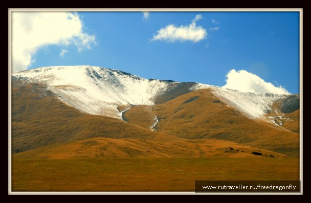 photo 1447729