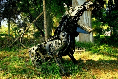 photo 1589666