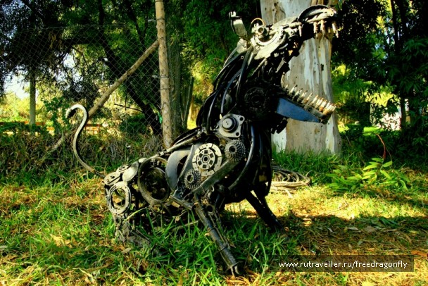 photo 1589666