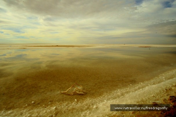 photo 1589705