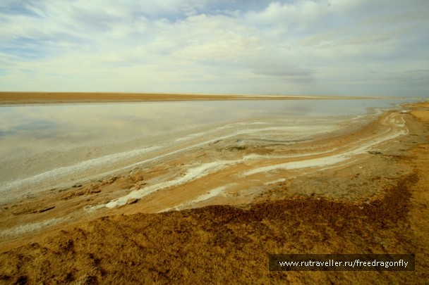 photo 1589706