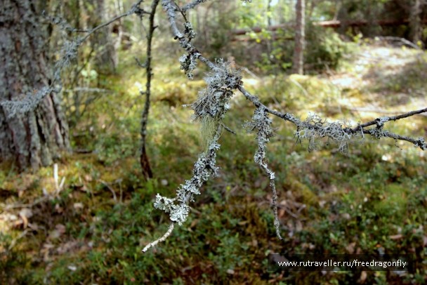 photo 1822055