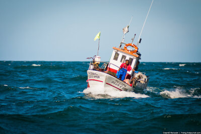 photo 232682