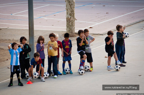 photo 243269