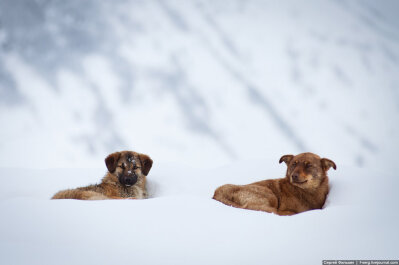 photo 276020