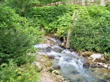 photo 808972