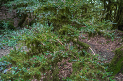 photo 1088141