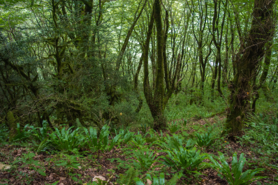 photo 1088159