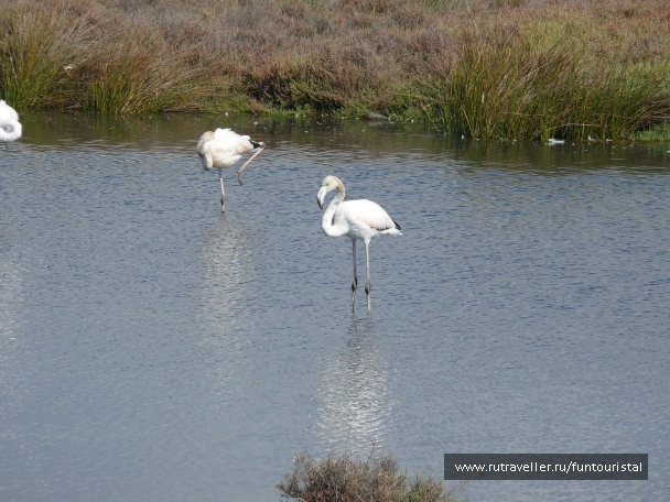 photo 1146478