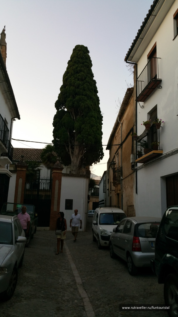 photo 1154908