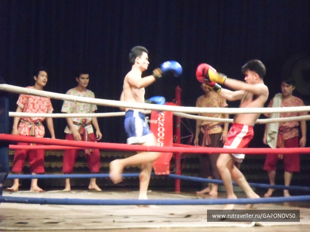 photo 167745