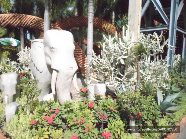 photo 167748