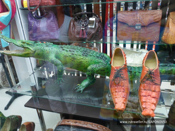 photo 167825
