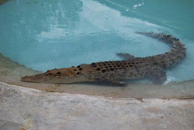 photo 192569