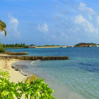 Maldives