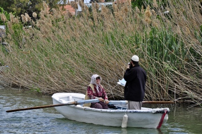 photo 1101036