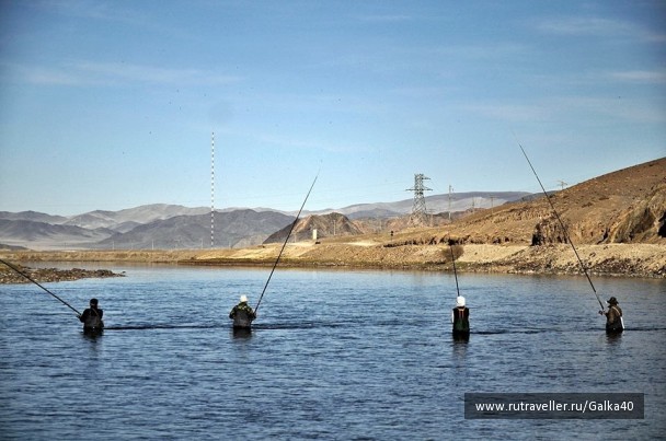 photo 1099130