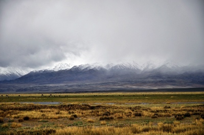 photo 1100385