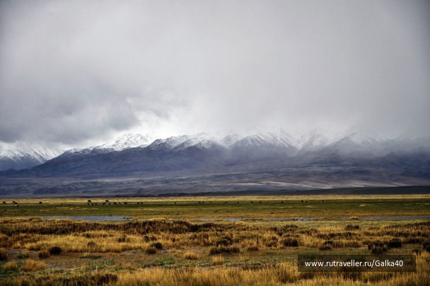 photo 1100385