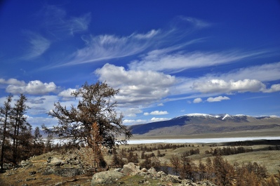 photo 1105529