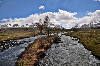 photo 1140670